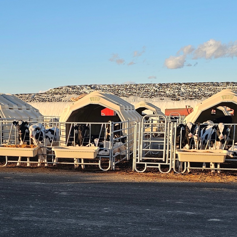 The housing line — Calf-Tel